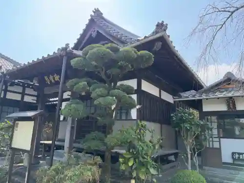 高林寺の{uncategorized: "未分類", other: "その他", undefined: "問題あり", building: "その他建物", grave: "お墓", sacred_gate: "鳥居", guardian: "狛犬", statue: "像", buddha: "仏像", history: "歴史", nature: "自然", garden: "庭園", animal: "動物", pagoda: "塔", temizu: "手水舎", mountain_gate: "山門・神門", sanctuary: "本殿・本堂", subordinate: "末社・摂社", art: "芸術", scenery: "景色", jizo: "地蔵", ema: "絵馬", goshuin: "御朱印", omikuji: "おみくじ", items: "授与品その他", amulet: "お守り", goshuincho: "御朱印帳", eats: "食事", festival: "お祭り", votive_dance: "神楽", shichigosan: "七五三参", wedding: "結婚式", experience: "体験その他", initially: "初詣", around: "周辺", anti_infection: "感染症対策"}
