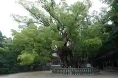 大山祇神社の建物その他