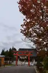 美瑛神社の鳥居