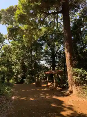天満大神(千葉県)