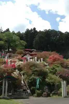 五大尊堂(長徳寺)の周辺