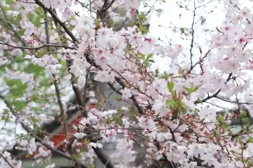 川越八幡宮の{uncategorized: "未分類", other: "その他", undefined: "問題あり", building: "その他建物", grave: "お墓", sacred_gate: "鳥居", guardian: "狛犬", statue: "像", buddha: "仏像", history: "歴史", nature: "自然", garden: "庭園", animal: "動物", pagoda: "塔", temizu: "手水舎", mountain_gate: "山門・神門", sanctuary: "本殿・本堂", subordinate: "末社・摂社", art: "芸術", scenery: "景色", jizo: "地蔵", ema: "絵馬", goshuin: "御朱印", omikuji: "おみくじ", items: "授与品その他", amulet: "お守り", goshuincho: "御朱印帳", eats: "食事", festival: "お祭り", votive_dance: "神楽", shichigosan: "七五三参", wedding: "結婚式", experience: "体験その他", initially: "初詣", around: "周辺", anti_infection: "感染症対策"}