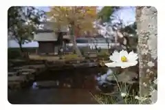 阿蘇神社(熊本県)