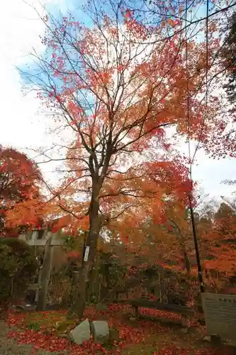 石都々古和気神社の自然