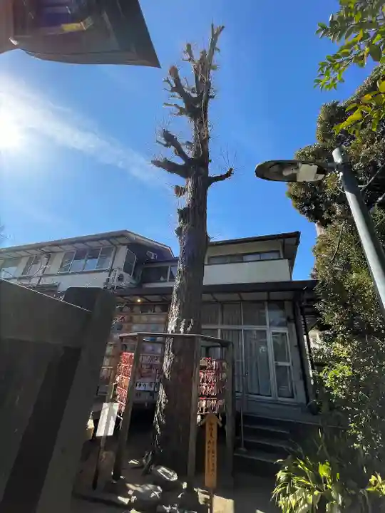 越谷香取神社(埼玉県)
