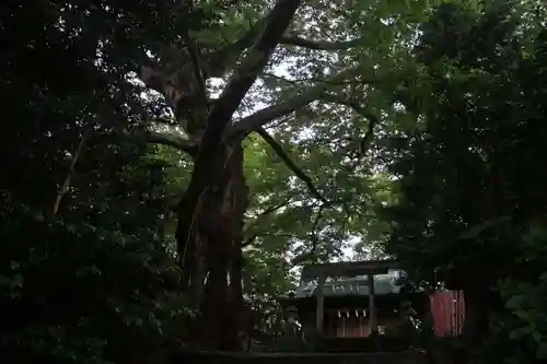 愛宕神社の景色