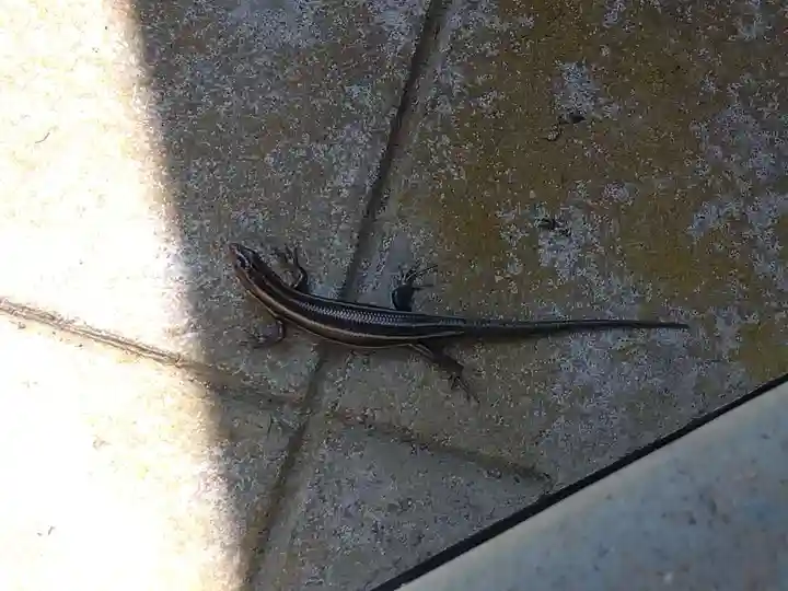 常光寺(福井県)