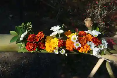 二尊院(京都府)