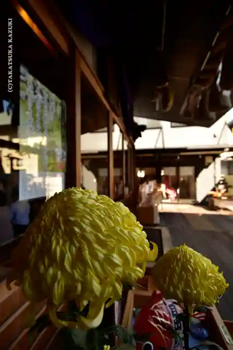 菊名神社の自然