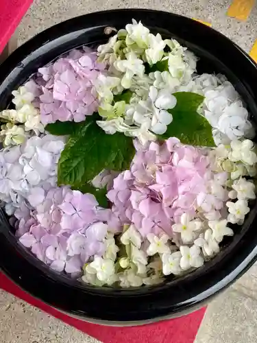 徳島眉山天神社の手水