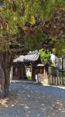 尊陽院(京都府)