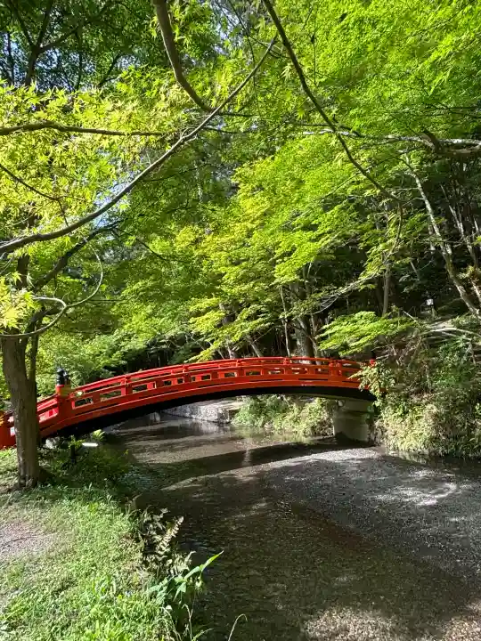 小國神社の{uncategorized: "未分類", other: "その他", undefined: "問題あり", building: "その他建物", grave: "お墓", sacred_gate: "鳥居", guardian: "狛犬", statue: "像", buddha: "仏像", history: "歴史", nature: "自然", garden: "庭園", animal: "動物", pagoda: "塔", temizu: "手水舎", mountain_gate: "山門・神門", sanctuary: "本殿・本堂", subordinate: "末社・摂社", art: "芸術", scenery: "景色", jizo: "地蔵", ema: "絵馬", goshuin: "御朱印", omikuji: "おみくじ", items: "授与品その他", amulet: "お守り", goshuincho: "御朱印帳", eats: "食事", festival: "お祭り", votive_dance: "神楽", shichigosan: "七五三参", wedding: "結婚式", experience: "体験その他", initially: "初詣", around: "周辺", anti_infection: "感染症対策"}