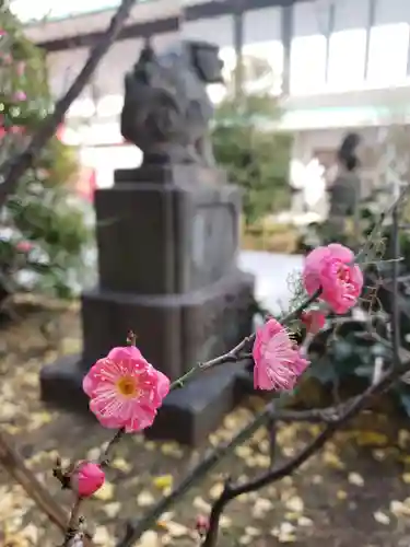成子天神社の自然