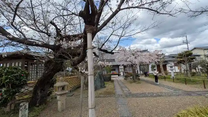橋寺 放生院(京都府)