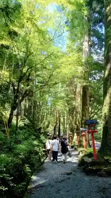 貴船神社(京都府)