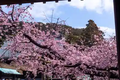 宮地嶽神社(福岡県)