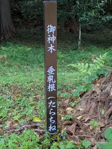 八幡神社(岐阜県)