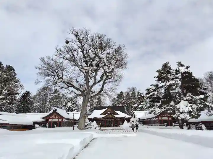 北海道護國神社の本殿・本堂
