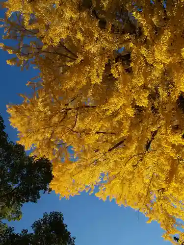 鑁阿寺(栃木県)