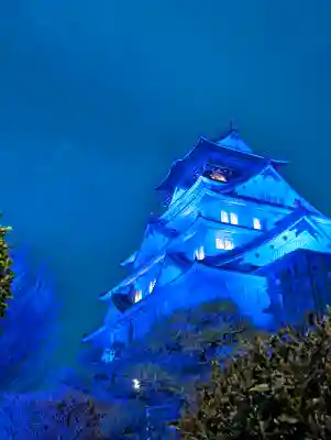 豊國神社の{uncategorized: "未分類", other: "その他", undefined: "問題あり", building: "その他建物", grave: "お墓", sacred_gate: "鳥居", guardian: "狛犬", statue: "像", buddha: "仏像", history: "歴史", nature: "自然", garden: "庭園", animal: "動物", pagoda: "塔", temizu: "手水舎", mountain_gate: "山門・神門", sanctuary: "本殿・本堂", subordinate: "末社・摂社", art: "芸術", scenery: "景色", jizo: "地蔵", ema: "絵馬", goshuin: "御朱印", omikuji: "おみくじ", items: "授与品その他", amulet: "お守り", goshuincho: "御朱印帳", eats: "食事", festival: "お祭り", votive_dance: "神楽", shichigosan: "七五三参", wedding: "結婚式", experience: "体験その他", initially: "初詣", around: "周辺", anti_infection: "感染症対策"}