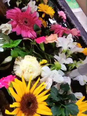 鳩森八幡神社の手水舎