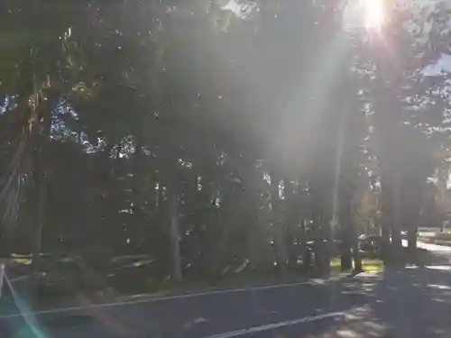 今井稲荷神社の建物その他