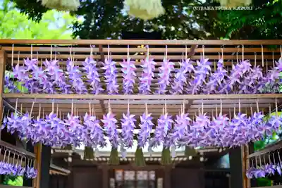 川越氷川神社(埼玉県)