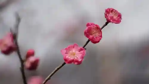 毘沙門堂門跡(京都府)