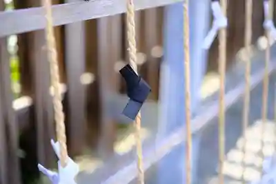 和泉國一之宮 大鳥大社のおみくじ