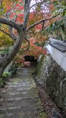勝持寺（花の寺）(京都府)