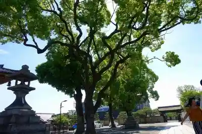 東寺（教王護国寺）のその他建物