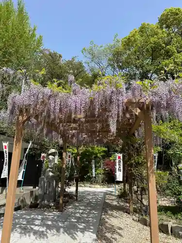 宝寿院(愛知県)