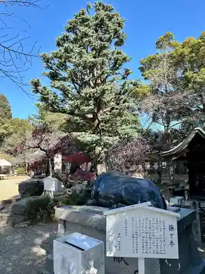 道明寺天満宮(大阪府)