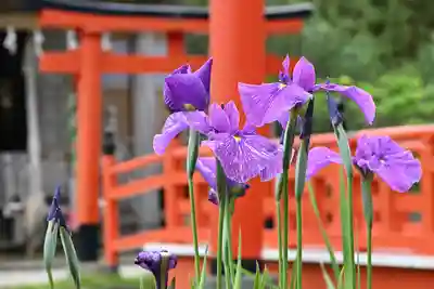 高山稲荷神社(青森県)