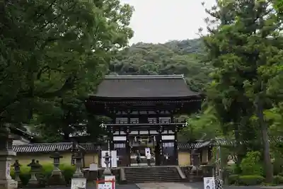 松尾大社(京都府)