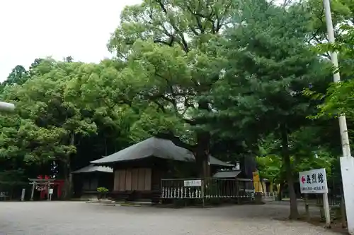 常磐神社の本殿・本堂