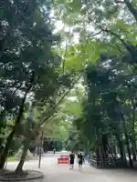 賀茂御祖神社(下鴨神社)(京都府)
