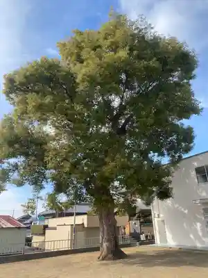 黒鳥天満宮神社(大阪府)
