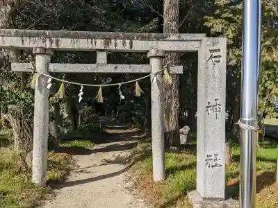 石神社の{uncategorized: "未分類", other: "その他", undefined: "問題あり", building: "その他建物", grave: "お墓", sacred_gate: "鳥居", guardian: "狛犬", statue: "像", buddha: "仏像", history: "歴史", nature: "自然", garden: "庭園", animal: "動物", pagoda: "塔", temizu: "手水舎", mountain_gate: "山門・神門", sanctuary: "本殿・本堂", subordinate: "末社・摂社", art: "芸術", scenery: "景色", jizo: "地蔵", ema: "絵馬", goshuin: "御朱印", omikuji: "おみくじ", items: "授与品その他", amulet: "お守り", goshuincho: "御朱印帳", eats: "食事", festival: "お祭り", votive_dance: "神楽", shichigosan: "七五三参", wedding: "結婚式", experience: "体験その他", initially: "初詣", around: "周辺", anti_infection: "感染症対策"}