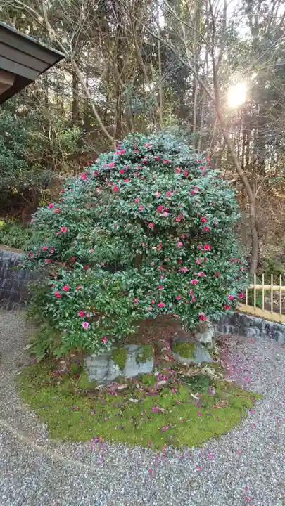 貴嶺宮(愛知県)