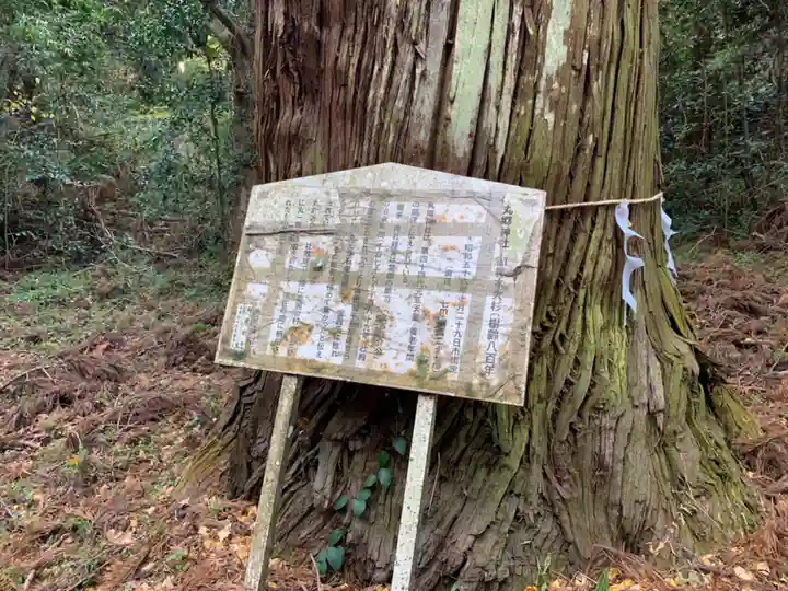 丸郷神社の自然