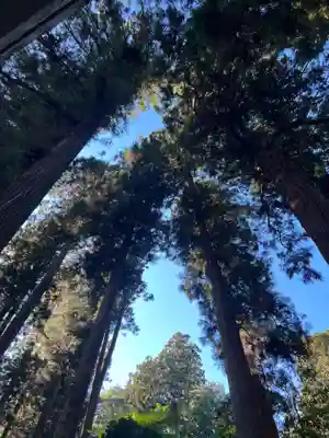 大宮温泉神社(栃木県)