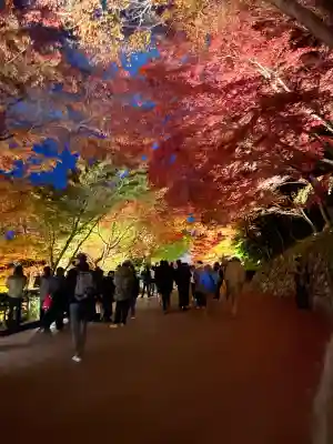 清水寺(京都府)