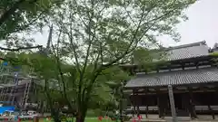 根来寺(和歌山県)