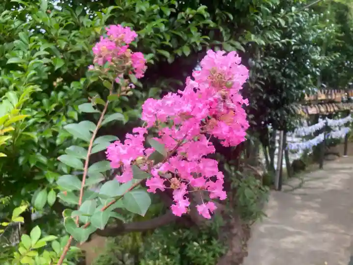 横浜御嶽神社(神奈川県)
