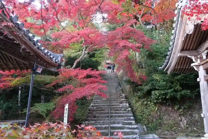 二尊院(京都府)