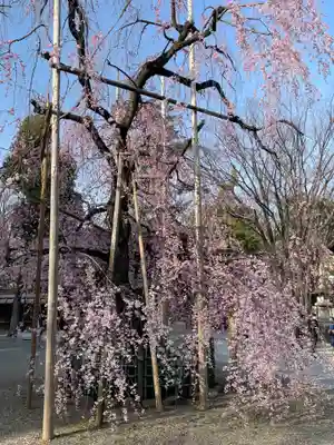 大國魂神社(東京都)