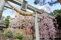 豊景神社の鳥居