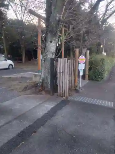 伊弉諾神社(埼玉県)