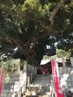 八幡大神の自然